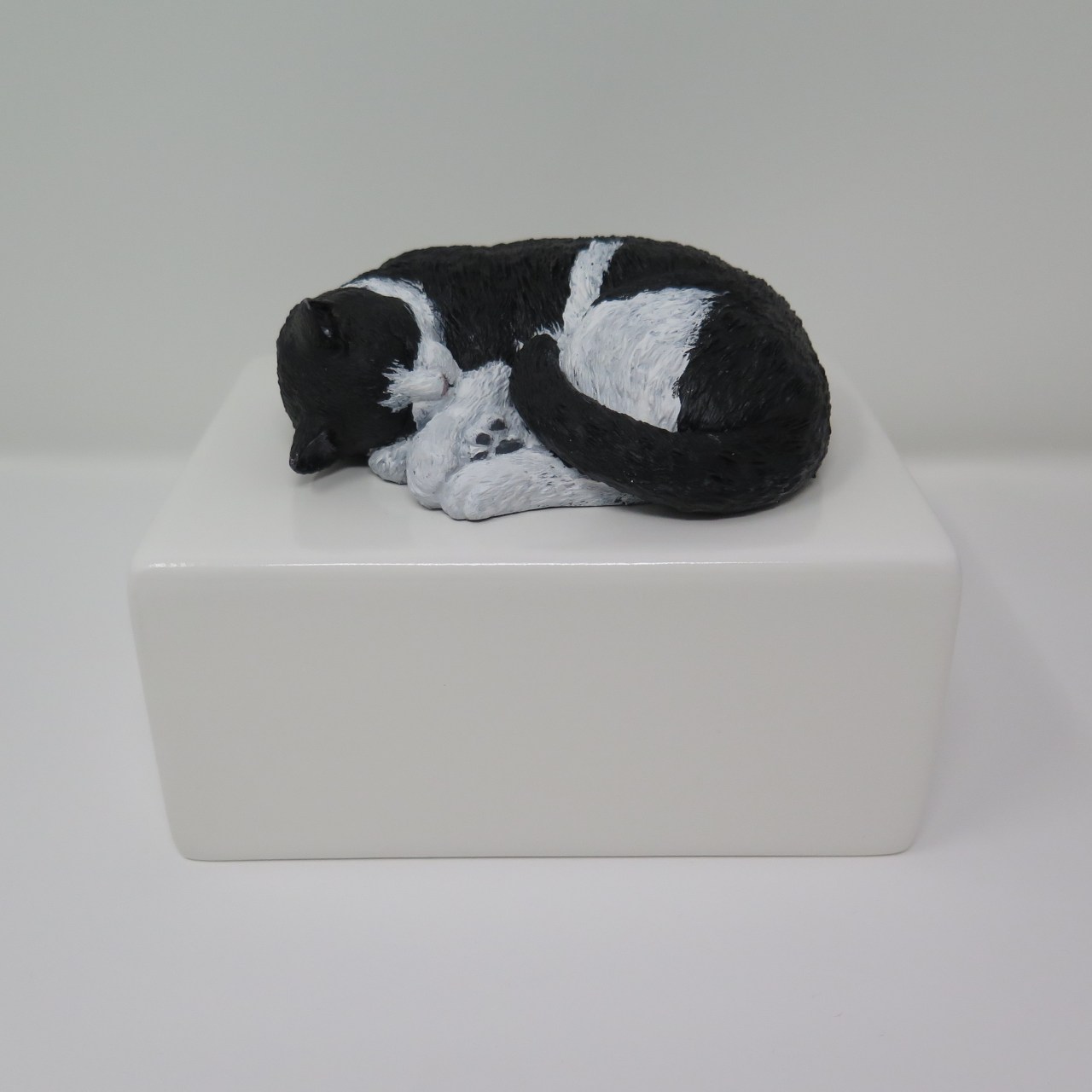 Portraiturne Katzenurne nach Fotovorlage Sleeping Cat
