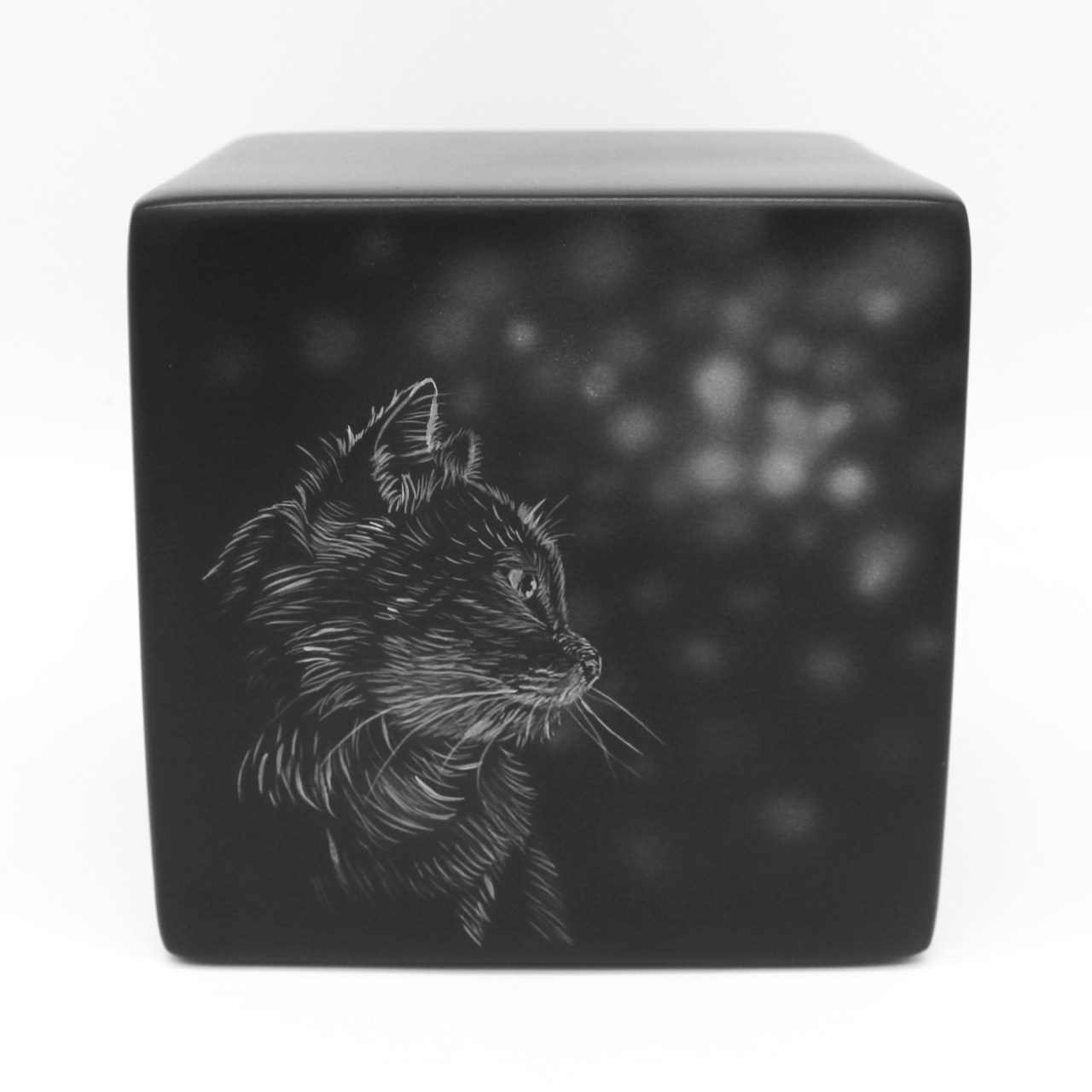 Katzenurne Katze im Licht auch mit Ihrer Katze